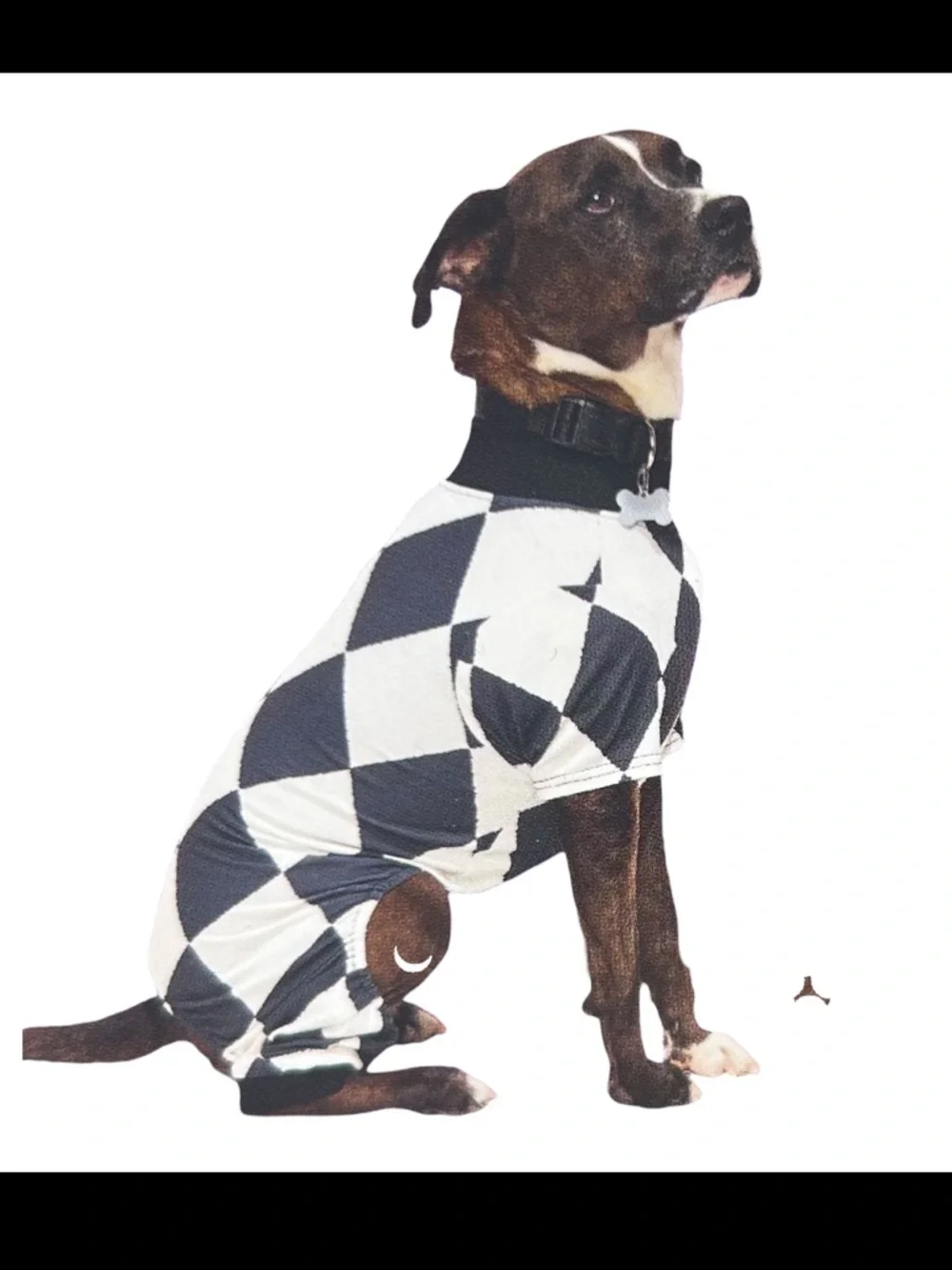 Bootique Harlequin Print Checkered Dog Pajamas XS